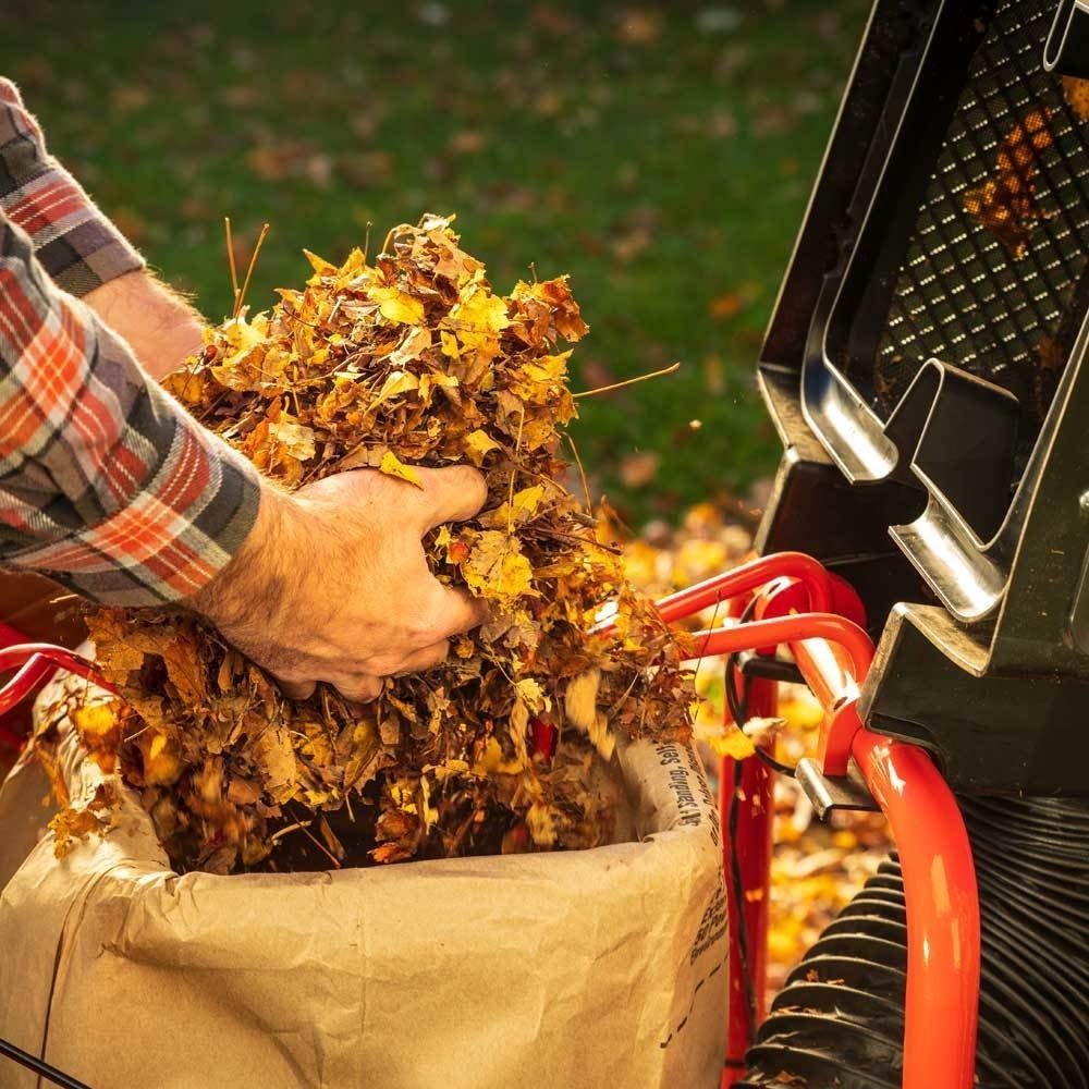 514-3 DR Power Equipment Pilot XTSP Leaf and Lawn Vacuum