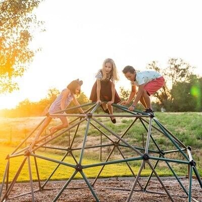 c937b256-3188-4be8-bc50-029d3e599e02 Lifetime 60-Inch Climbing Dome with Canopy