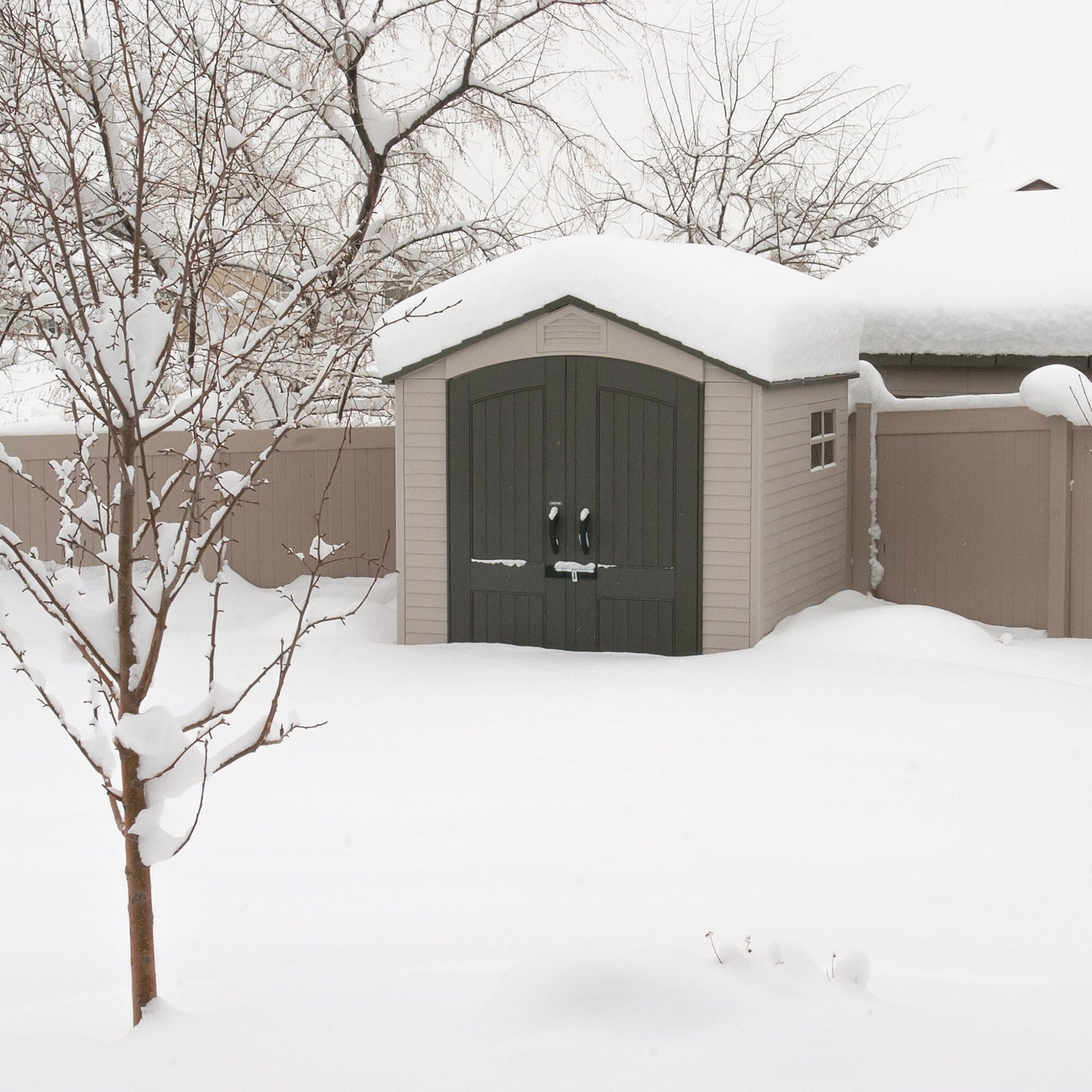 ffd8bbac-82c2-4de3-9808-92288d333582 Lifetime 7 Ft. x 7 Ft. Outdoor Storage Shed